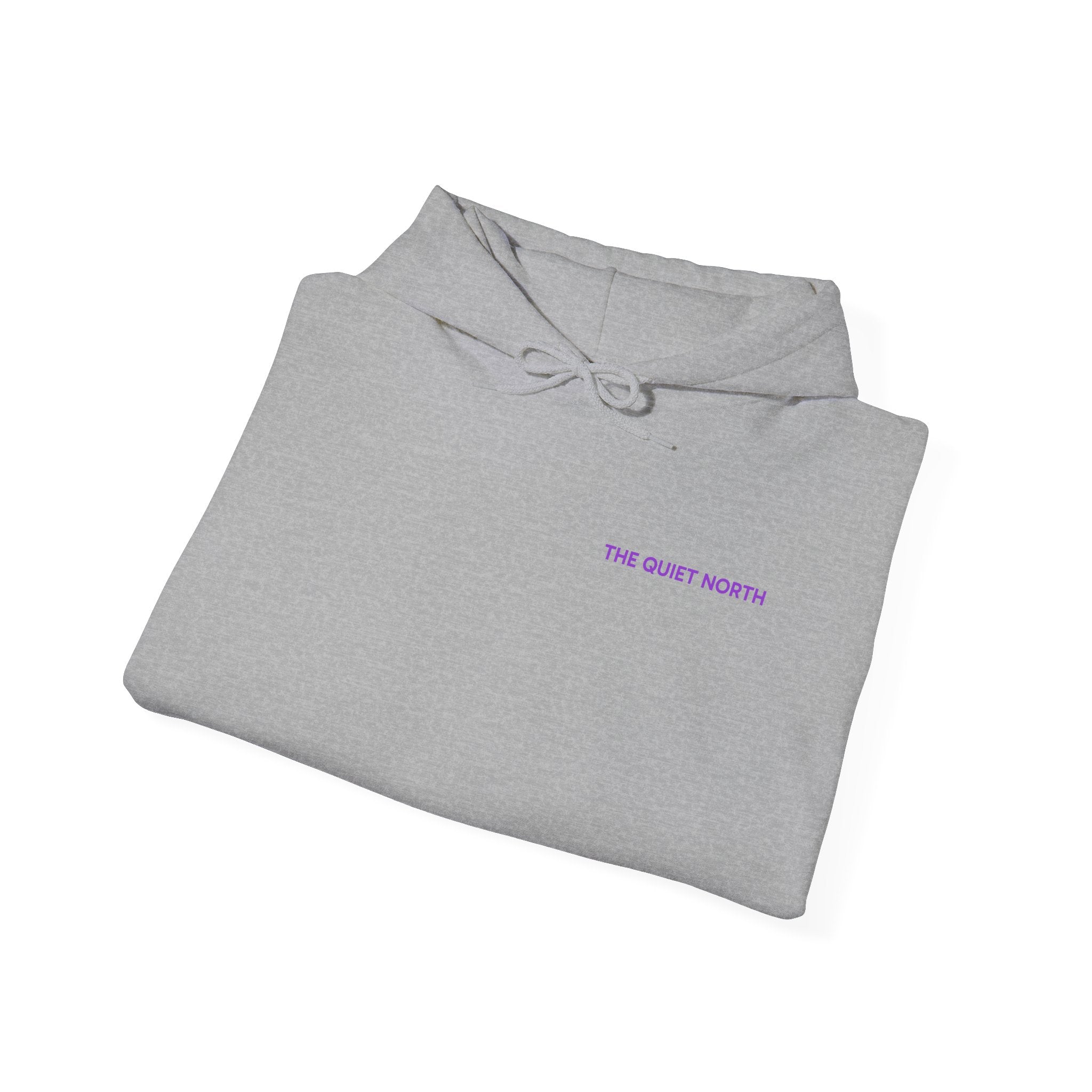 The Quiet North - 80's Synth Nostalgia Hoodie